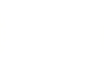 NY Beer Project Lockport Logo